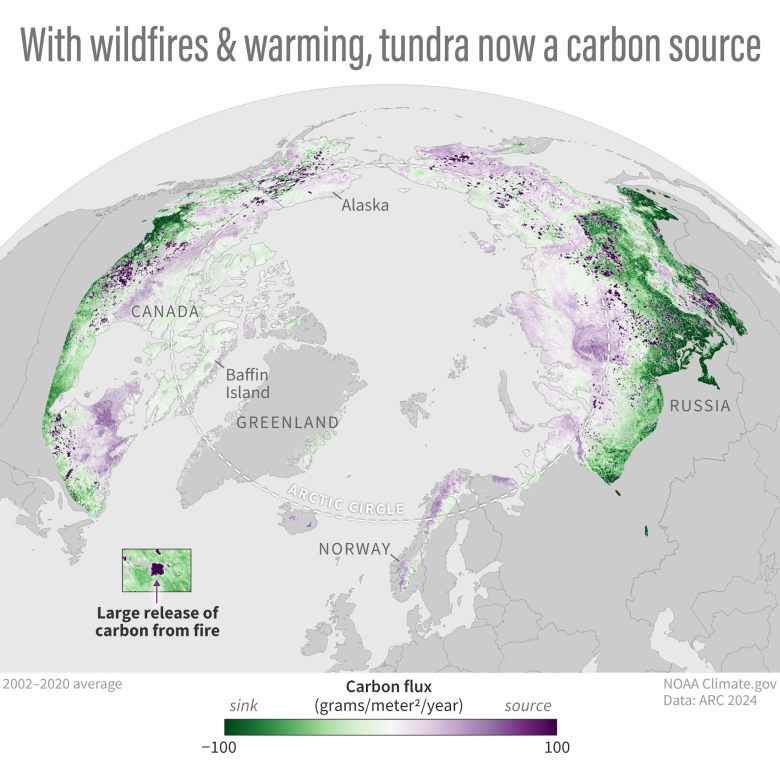 A map shows where Arctic land releases more carbon than it takes up, looking at 2002-2020 average.