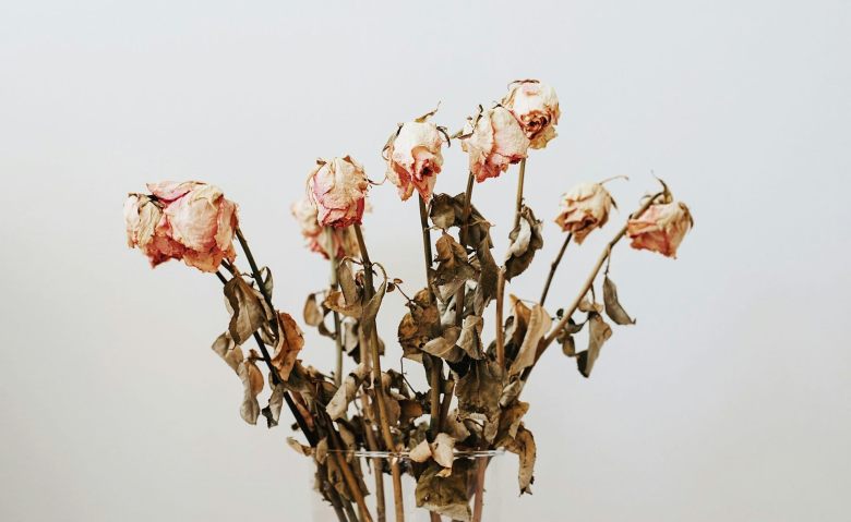 A collection of dried, wilted roses.